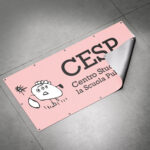 cesp logo